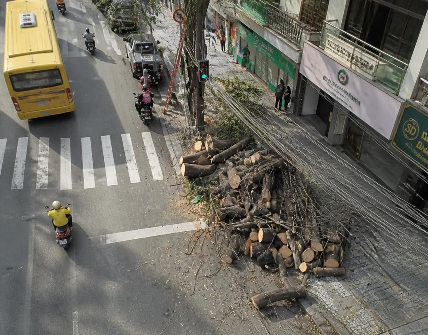 Ventos de 91 km/h e quedas de árvores colocam Rio de Janeiro em estágio de alerta