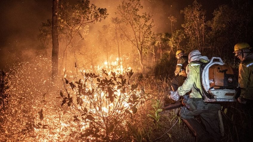 São Paulo socorre governo federal e envia bombeiros para conter incêndios no Amazonas